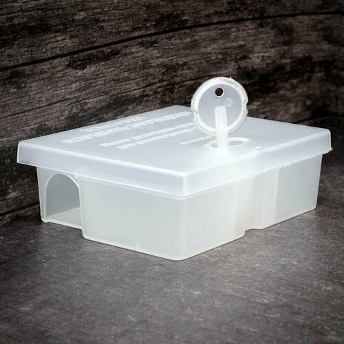 ������ ������ ��������� ����������� 