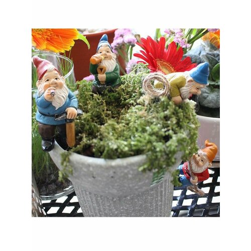 ������ ������ ������� �� ����� ����