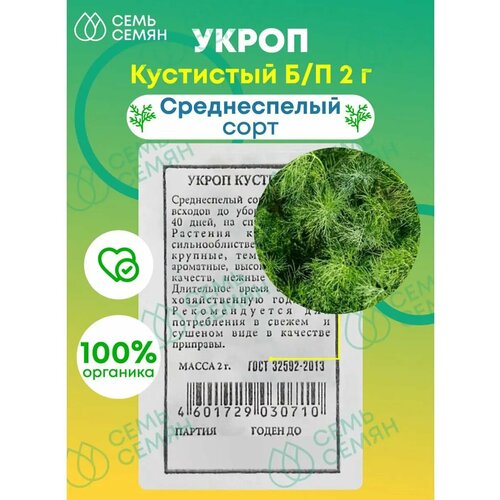 ������ ������ ������. ����� 