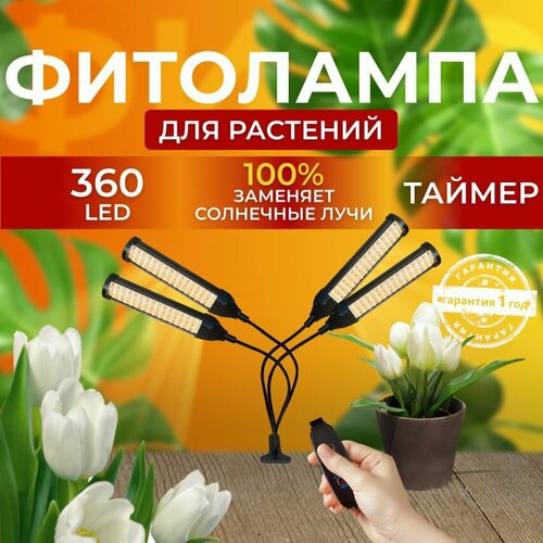 ������ ������ ��������� ��� ����������� �������� ������� ������ ������ �������������� ������������ ��� ������ �� ������ ������� � ��������� � ��������, 4 ����� ����