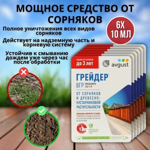 ������ ������ ������ �������� �������� �� �������� ������� 10 ��, 6 �� ����