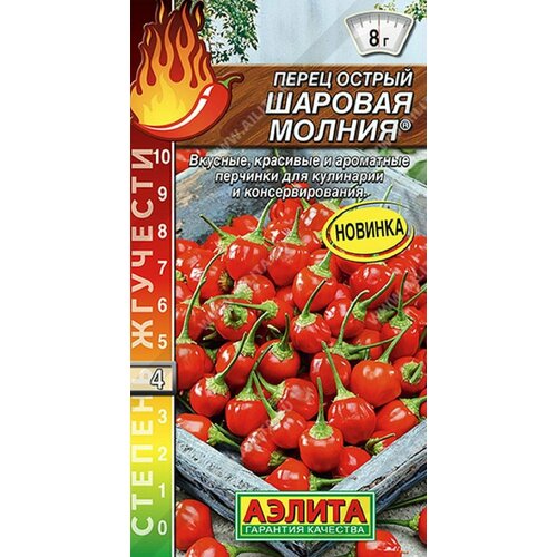 ������ ������ ����� ������ ������� ������ ����