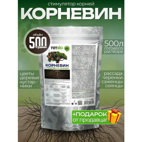 ������ ������ ���������� ����� ������ TUTBIO 