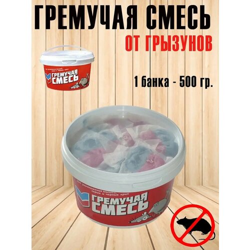 ������ ������ �����-������� �� �������� 