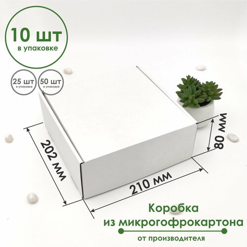 ������ ������ ������� 210�202�80 �� (10 ��) ����������� ���������������� �����/����� ����