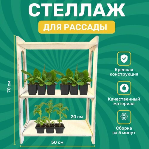 ������ ������ ������� ��� ������� �� ���������� 70*50*20 �� 3 ����� ���������� ����