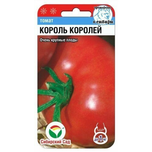 ������ ������ ������ ����� ������ ������� 20�� ����� (��������� ���) ����