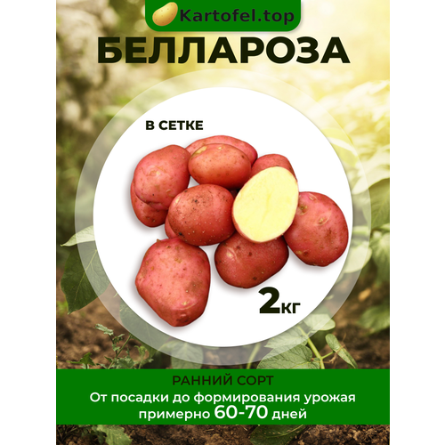 ������ ������ �������� ��������� ��������� 2 �� ����