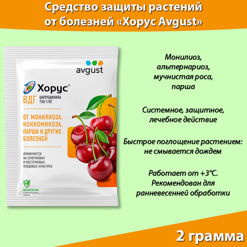 ������ ������ ����� ��� �������� 2 � �������� ������ �������� �� ��������, ������ ����