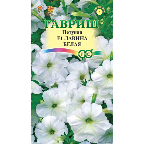 ������ ������ ������ ������� ������ ����� F1 ��������� 7�� ��� 80�� (������) ����