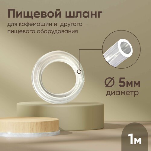 ������ ������ ����� ��� 5 �� (���������� �������) (1 ����) / ���������� / ������� ����