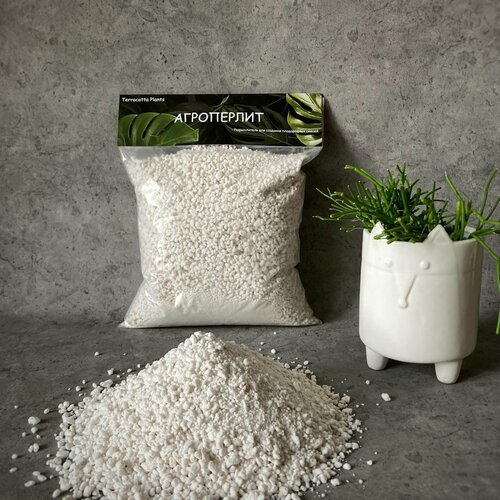 ������ ������ ������ ��� �������� Terracotta Plants 4 ����� ������������ ��� ������ ����