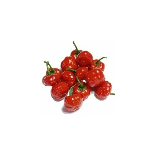 ������ ������ ������ ������ ����� Aji Brazilian Pumpkin, 5 ����� + ������� ����