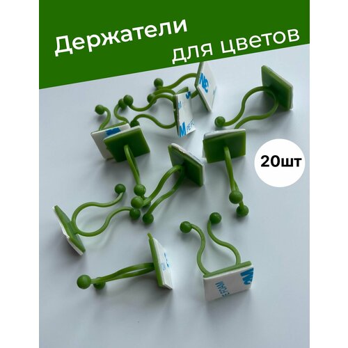 ������ ������ ������ ��������� ��� �������� ������������� ����� �� ����� ����