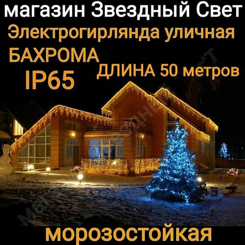 ������ ������ ��������������� ������� ������� ������������ �����-����� 50������ ����