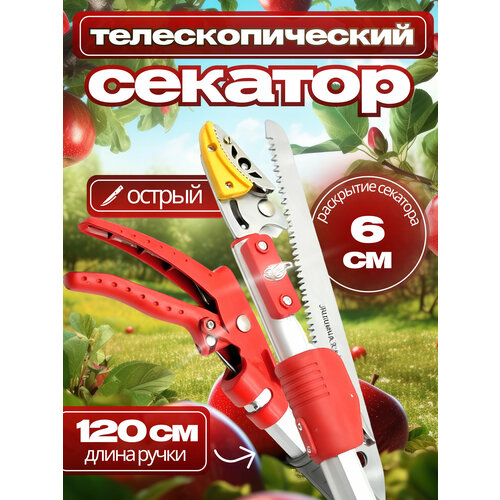 ������ ������ ������� ��������������� ��� ��������, �������� ������� ����