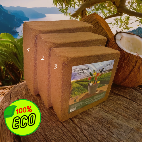 ������ ������ �������� ��������� 