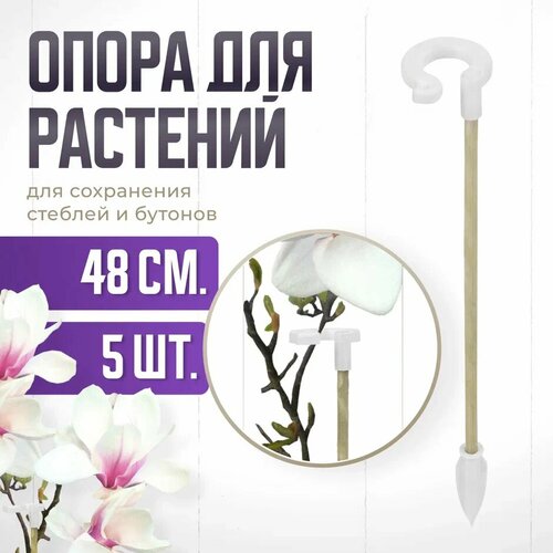 ������ ������ ����� ��� �������� � �������, ������� ������� ��� �������, ��� ������� , ��������� ������ 48 �� 5 ���� ����