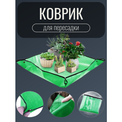 ������ ������ ������ ��� ��������� �������� � ������ / ������ ��� ������� ������� / ��������� �������� / ������� ������ ����