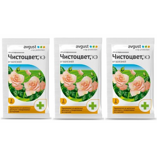 ������ ������ Avgust �������� �� �������� �������� ���������, ��, 2 ��, 0.2 �, 3��. ����