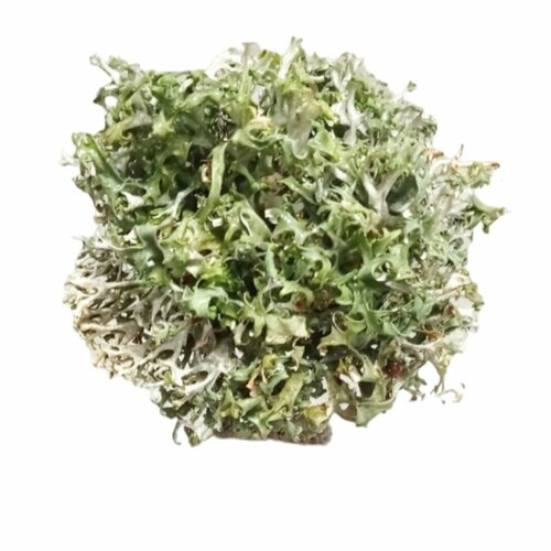 ������ ������ ��� �������� ����������. ����������� �����. ����