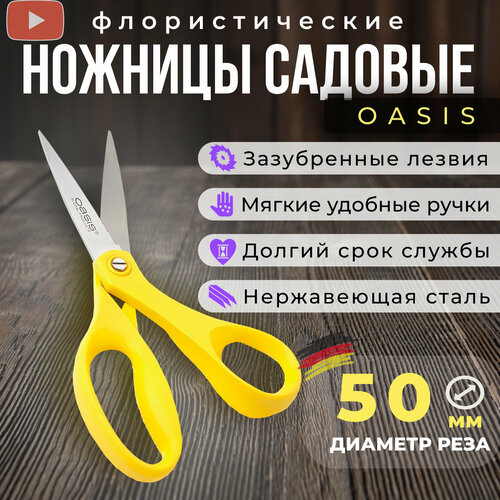 ������ ������ ������� ������� , ������� ��� ������ Oasis, �������������� ����