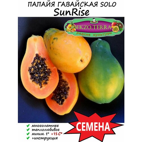 ������ ������ ������ ������ SunRise (Solo) 15 ��. ����