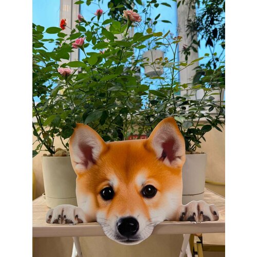 ������ ������ ����� �� ������� ��� ����, ���� 