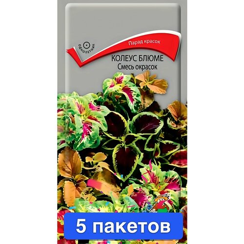 ������ ������ ����� ������ ����� ����� ������� 5 ������� ����