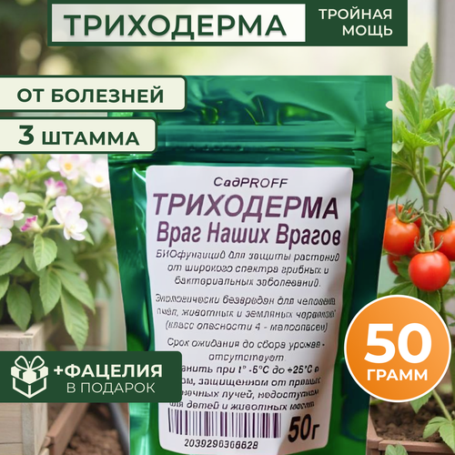 ������ ������ ���������� 3 ������ , 50� ����