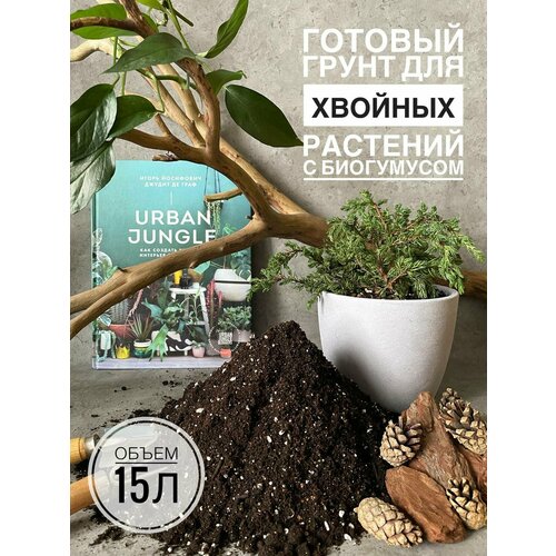 ������ ������ ������� ����� ��� ������� �������� � �������� 15 ������ �� Terracotta Plants ����