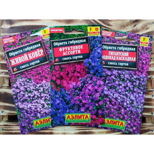 ������ ������ ������ ����������� ������: ������� ����