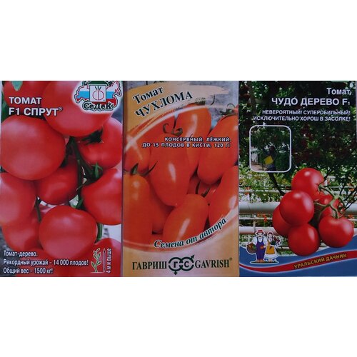 ������ ������ ����� �� 3� ����� ��������� ������ �������-������ (���� ������+�����+�������) ����