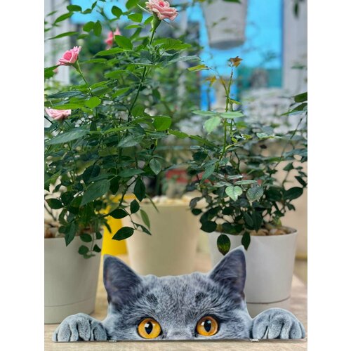 ������ ������ ������� ����� �� ������� 