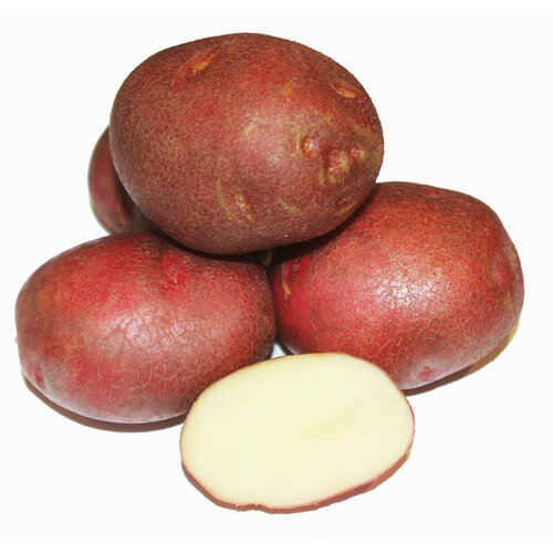 ������ ������ ��������� �������� �������� (����������) (4 ��) �������������, �������� ����