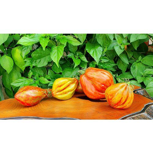 ������ ������ ������ ������ ��������� ������ (Cuban Salami) / Seeds And Goods / � �������� zip-lock ��� ���������� 10 ����� ����