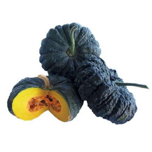 ������ ������ ����� ׸���� ������� ������ 10 �� ����