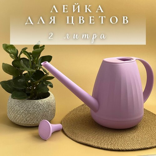 ������ ������ ����� ����������� 2 ����� ����