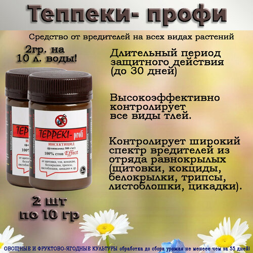 ������ ������ ������� 2 �� ����