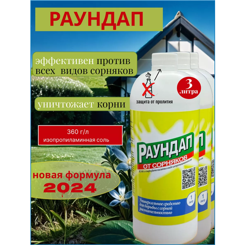 ������ ������ ������� 3 ����� �������� �� �������� ����