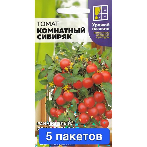 ������ ������ ������ ������ ������ ����� 