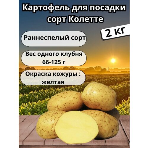 ������ ������ ��������� �������� 