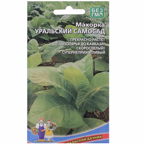 ������ ������ ������ ���� 