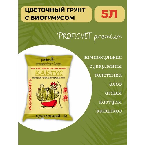 ������ ������ ����� ��� ����������� �������� ������������ 