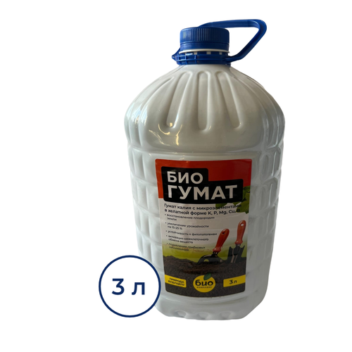 ������ ������ �������� 3 � ���-�������� ����