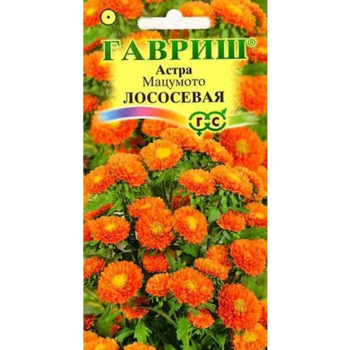 ������ ������ ������ ����� �������� ��������� 0,3� (������) ����