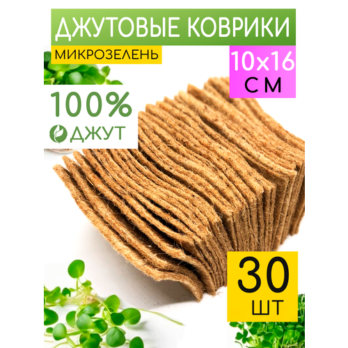 ������ ������ �������� ������ ��� �����������, ������� � ������ ����