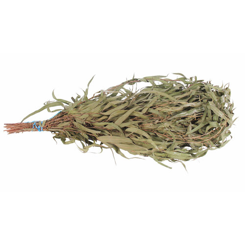 ������ ������ ����� �������� ����