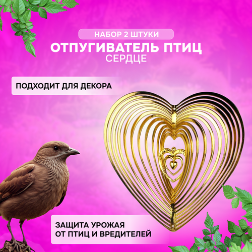 ������ ������ ������� ������ ������������ ��� ���� ��� ���� / ������ ���������� ����