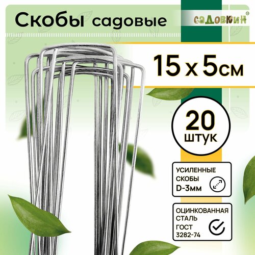 ������ ������ ����� ������� �-�����, ������ 15�� � 5��, d-3��, (20 ��) ����